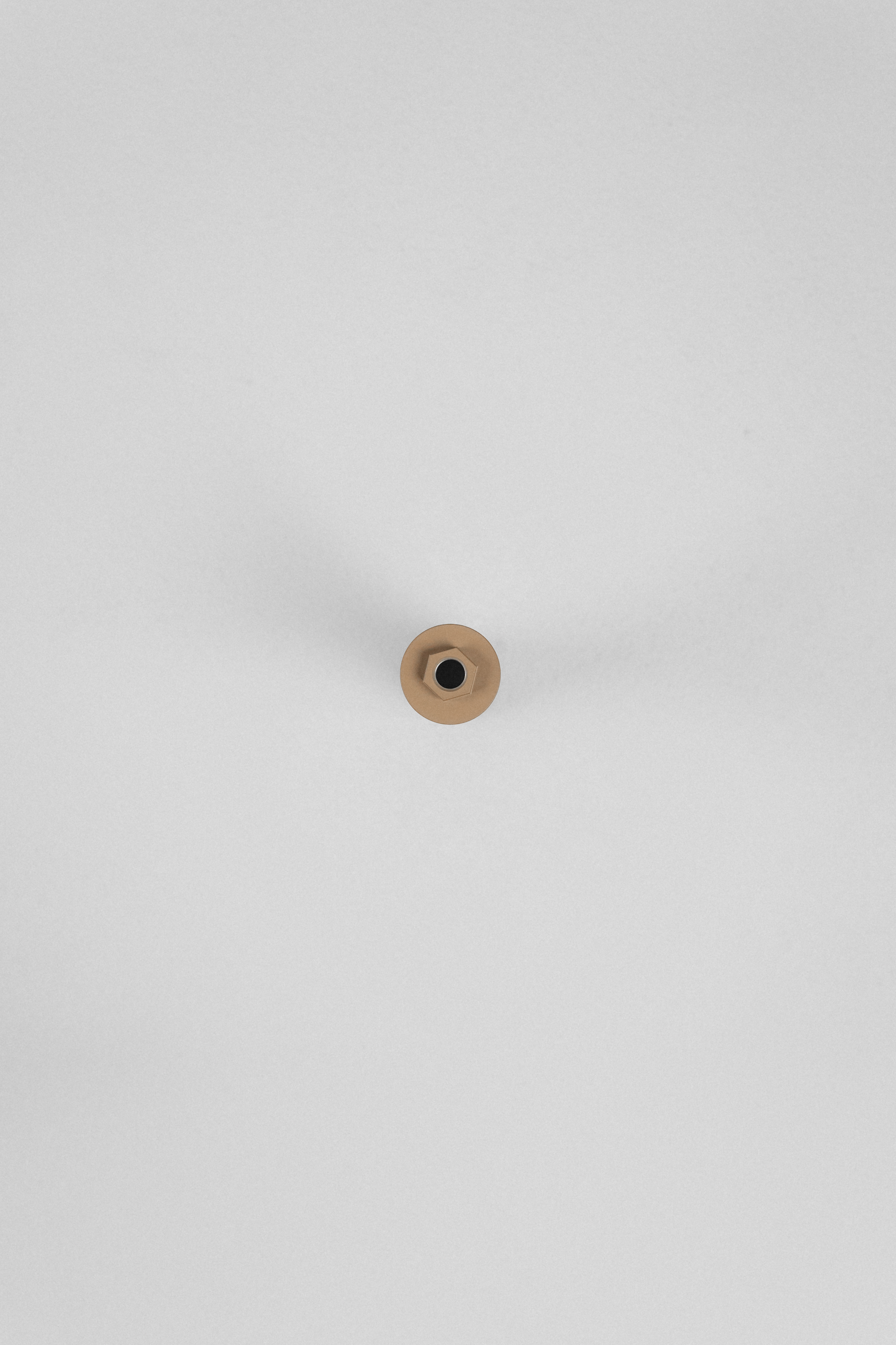 Einstein L - Image 5